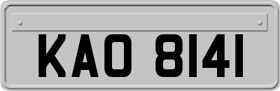 KAO8141
