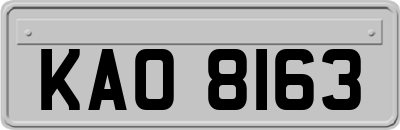 KAO8163