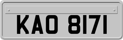 KAO8171