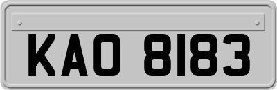 KAO8183