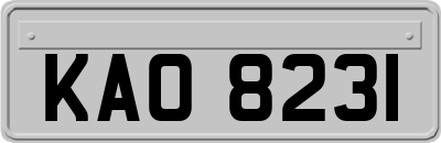 KAO8231