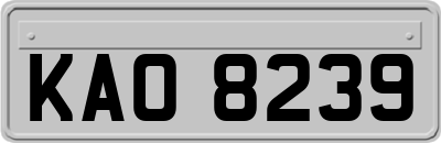 KAO8239