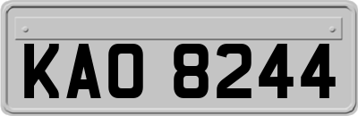 KAO8244