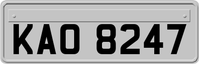 KAO8247