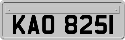 KAO8251