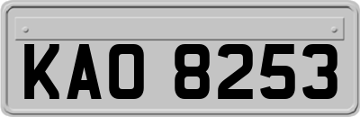 KAO8253