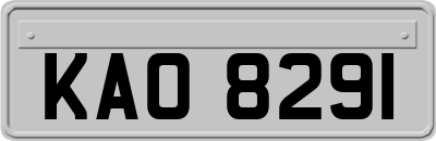 KAO8291
