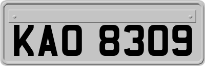 KAO8309