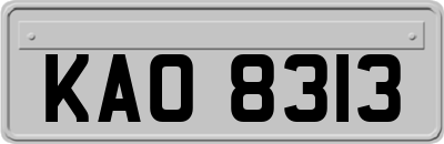 KAO8313