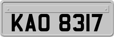 KAO8317