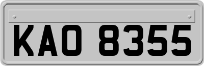 KAO8355