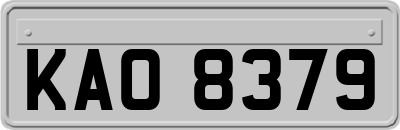 KAO8379