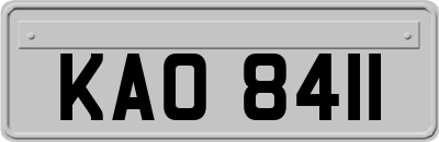 KAO8411