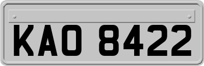 KAO8422