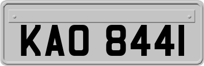 KAO8441