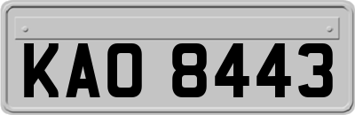 KAO8443
