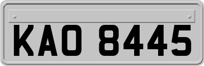 KAO8445