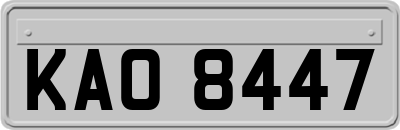 KAO8447