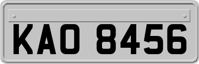 KAO8456