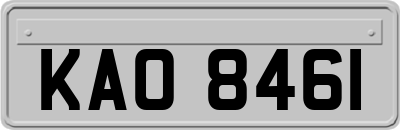 KAO8461
