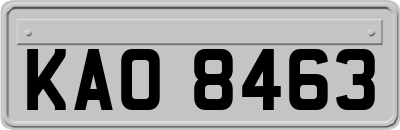 KAO8463
