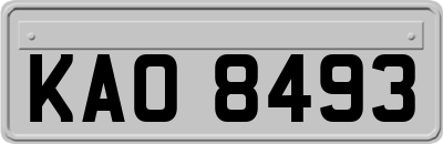 KAO8493