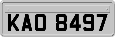 KAO8497