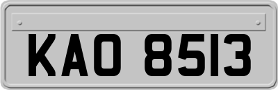 KAO8513