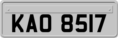 KAO8517