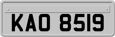 KAO8519
