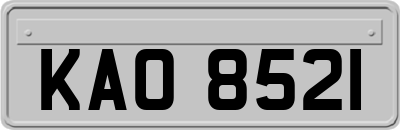 KAO8521