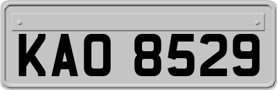 KAO8529