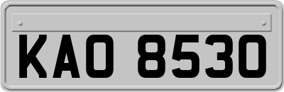 KAO8530