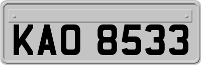 KAO8533