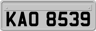KAO8539