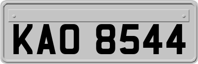 KAO8544
