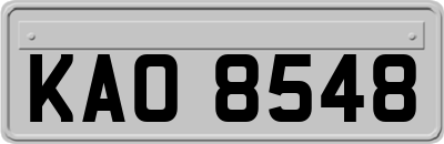 KAO8548