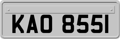 KAO8551
