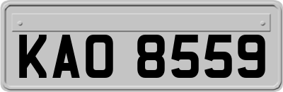 KAO8559