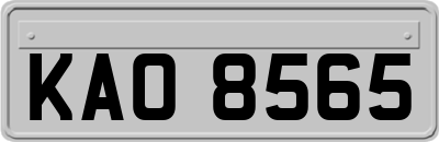 KAO8565