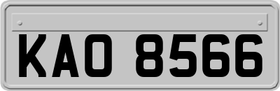 KAO8566