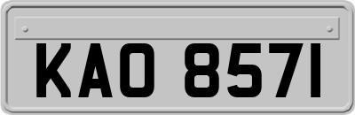 KAO8571