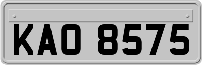KAO8575