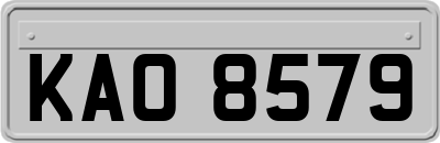 KAO8579