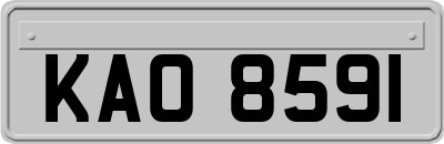 KAO8591