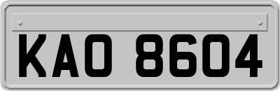 KAO8604