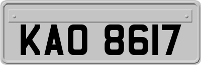 KAO8617