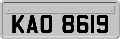 KAO8619