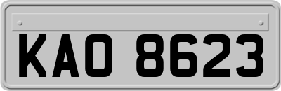 KAO8623