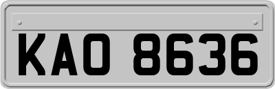 KAO8636
